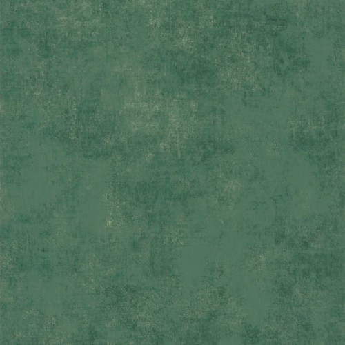 80837446.jpg