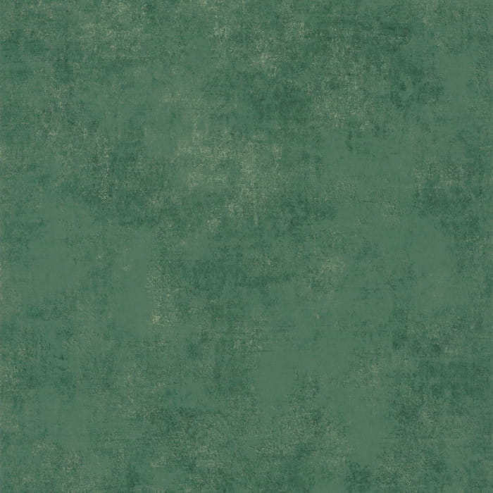 80837446.jpg