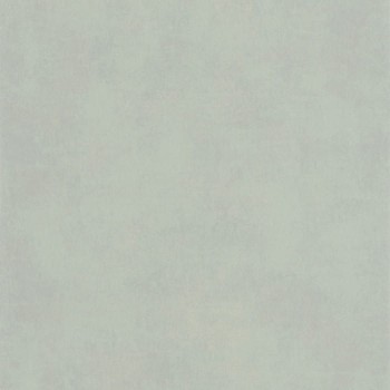 80837217.jpg