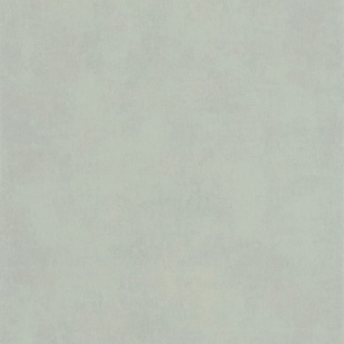 80837217.jpg