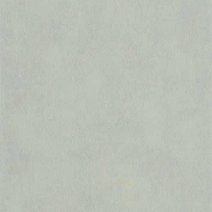 80837217.jpg