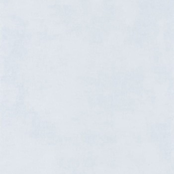 80839119.jpg