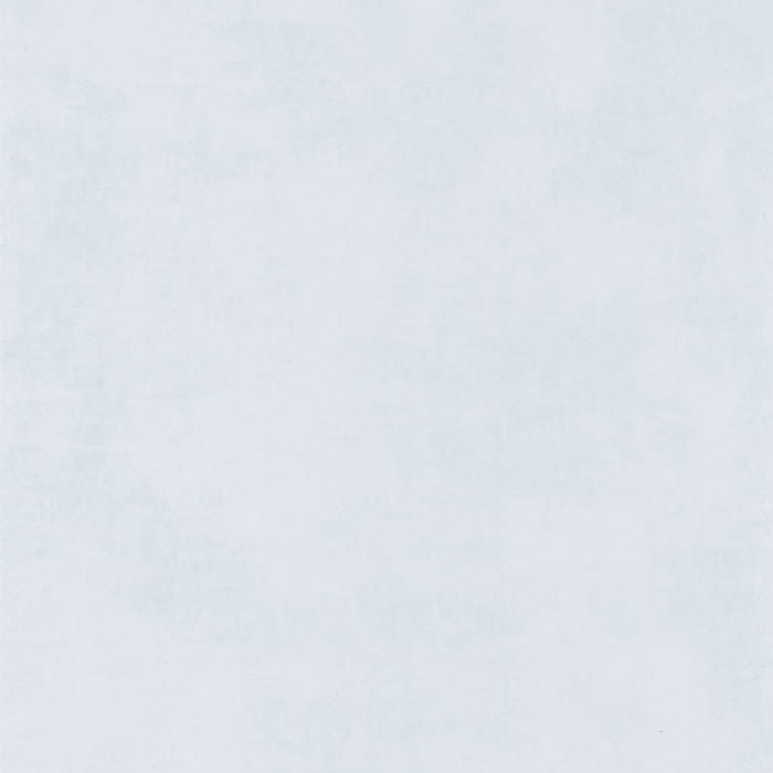 80839119.jpg
