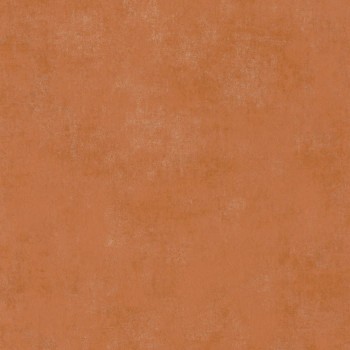 80833232.jpg