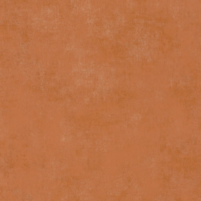 80833232.jpg