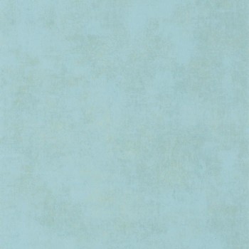 80836239.jpg