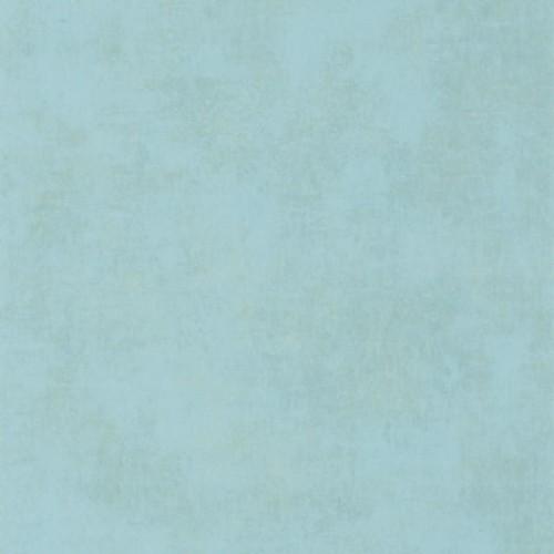 80836239.jpg