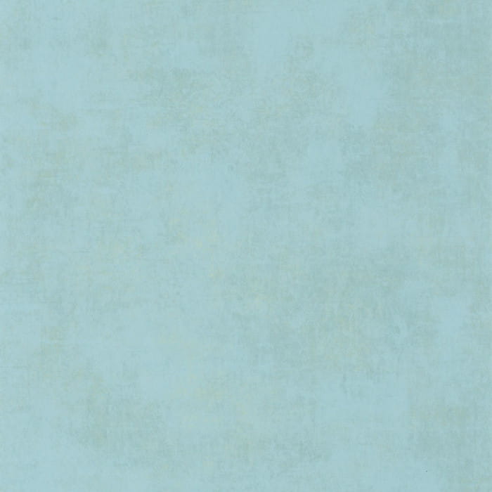 80836239.jpg