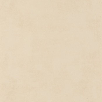 80832131.jpg