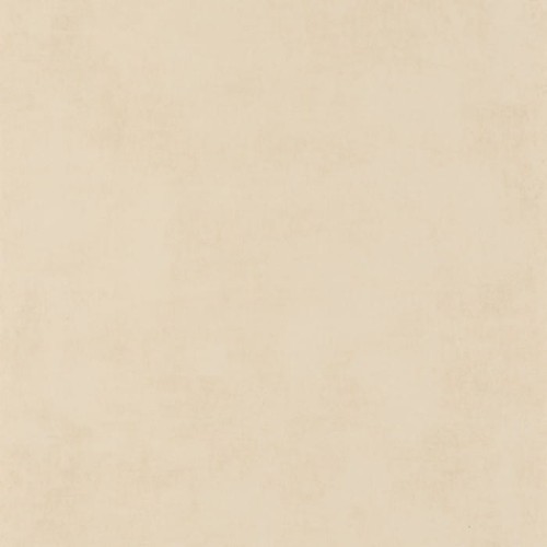 80832131.jpg