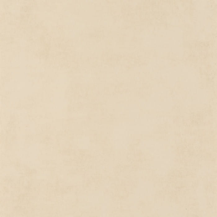 80832131.jpg
