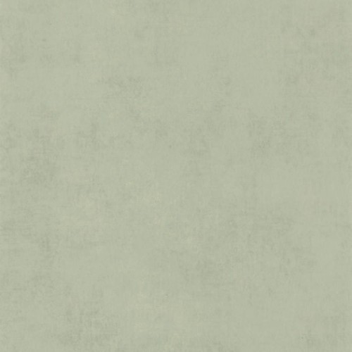 80837227.jpg