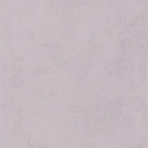 80835141.jpg