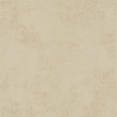 80831313.jpg