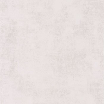 80831108.jpg
