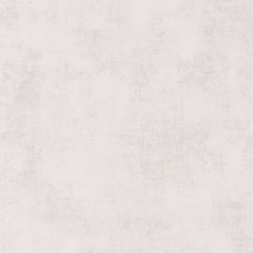 80831108.jpg