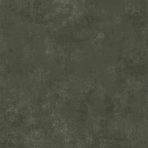 80837544.jpg
