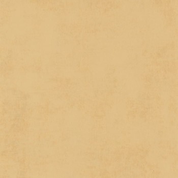 80832209.jpg