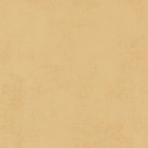 80832209.jpg