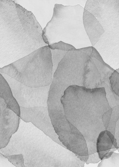 Rebel Walls R18589 Simplicity Petals Graphite - mural artystyczny