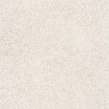 101730020.jpg