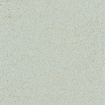 101736021.jpg