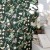 hth-happy-vieux-vert-104067576-zoom.jpg