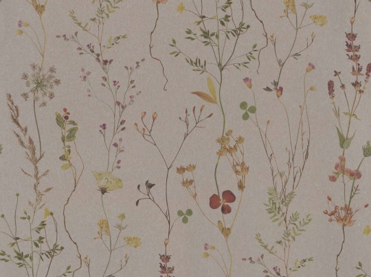 BN 221340 Botanical Wild Flower - tapeta w kwiatki