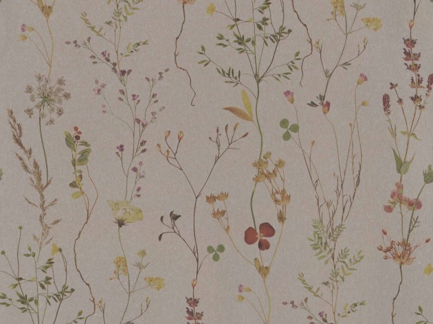 BN 221340 Botanical Wild Flower - tapeta w kwiatki