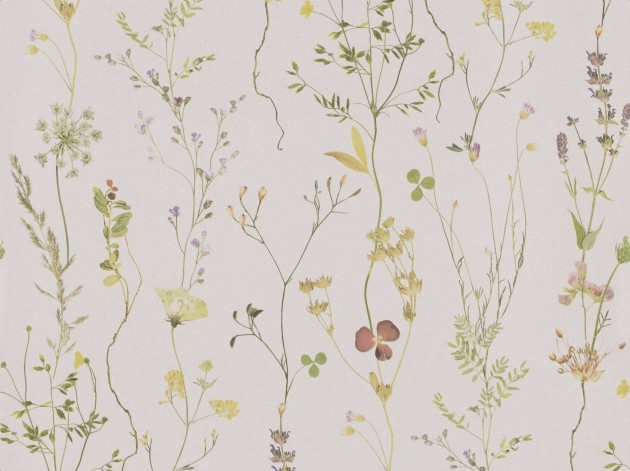 BN 221342 Botanical Wild Flower - tapeta w kwiatki