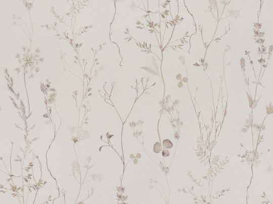 BN 221343 Botanical Wild Flower - tapeta w kwiatki