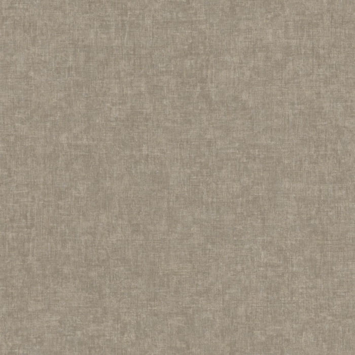 81911230.jpg