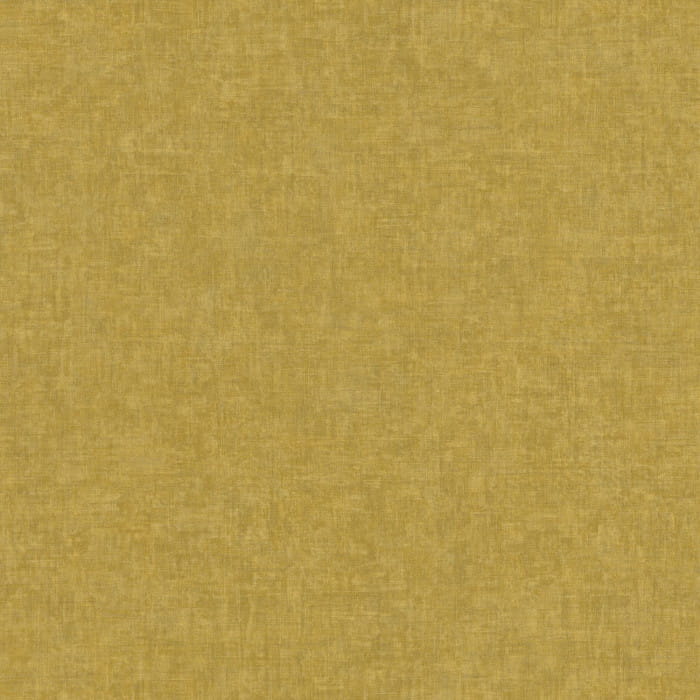 81912236.jpg