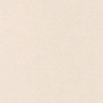 81911158.jpg