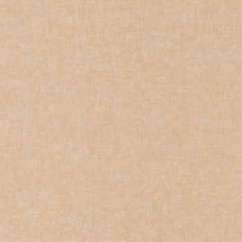 81912243.jpg