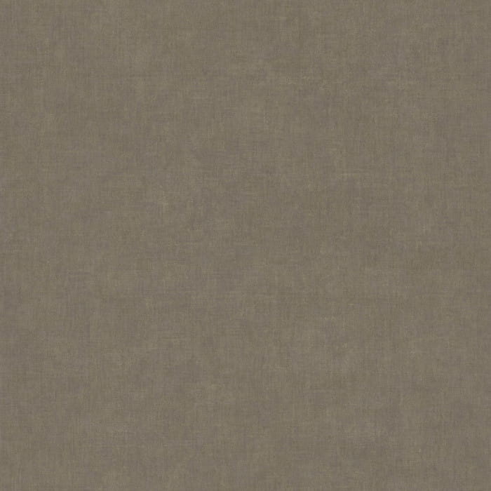 81927456.jpg