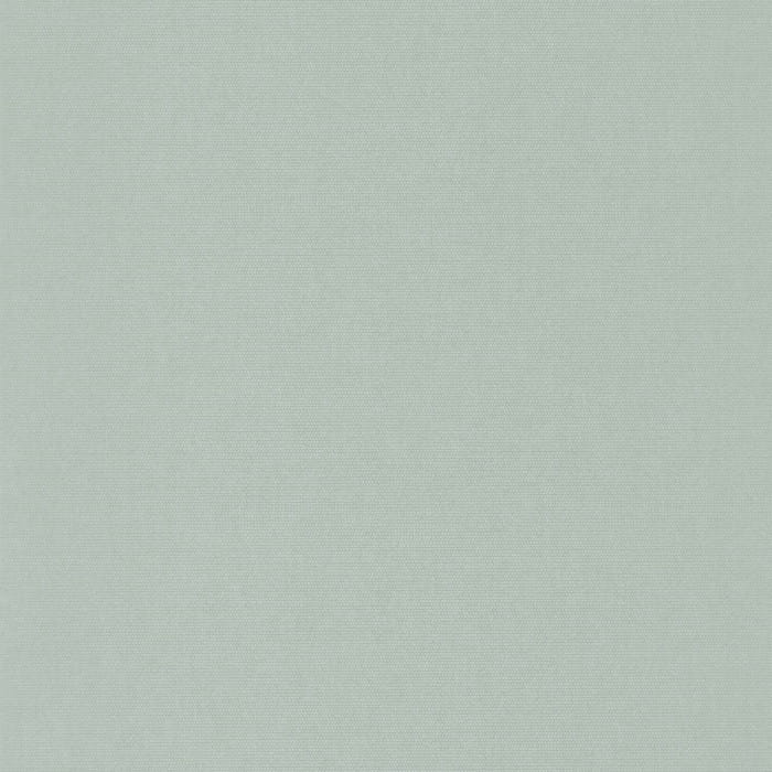 82077126.jpg