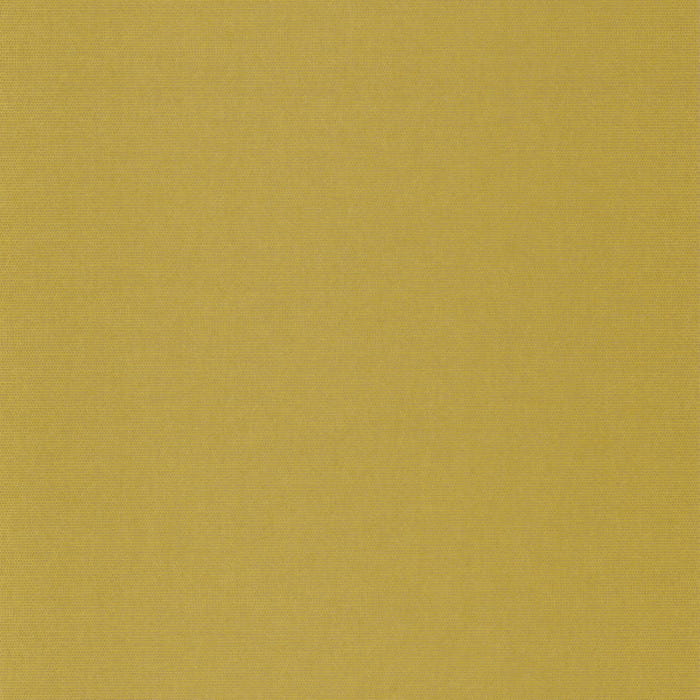 82072727.jpg