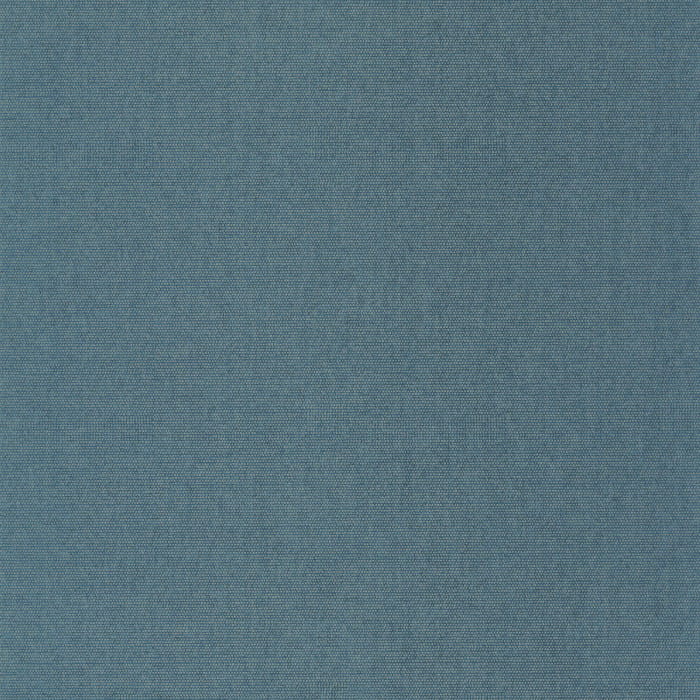 82076419.jpg