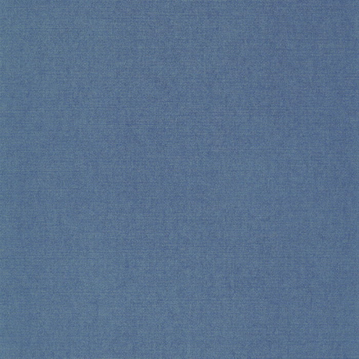 82076307.jpg