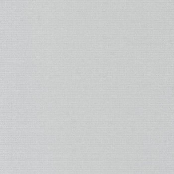 82079131.jpg