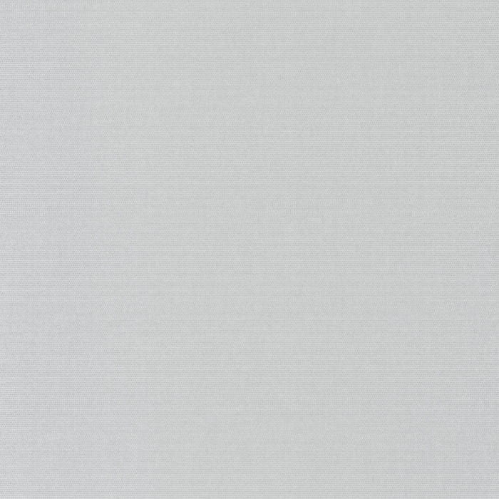 82079131.jpg