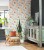 botanica-bota-echeveria-corail-rose-poudre-85914374.jpg