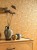 botanica-bota-cactaceae-curry-85922376-zoom.jpg
