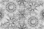1f500585ced9c950da5188cec8b4190c