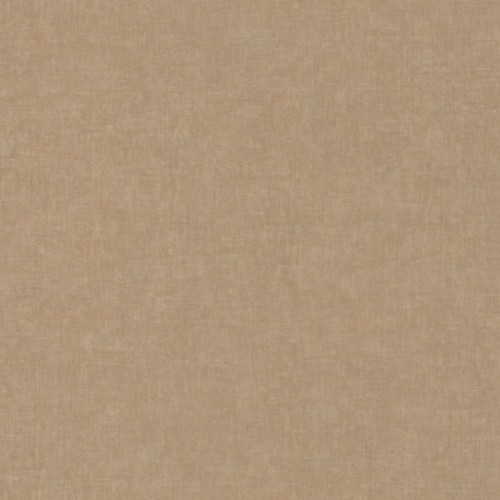 81923446.jpg