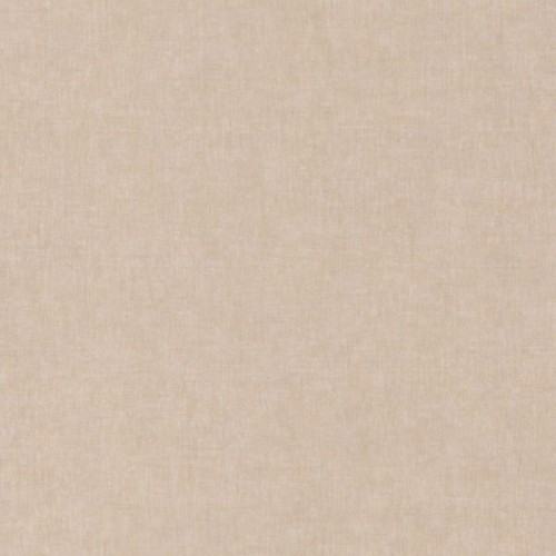 81921259.jpg