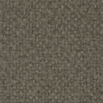 86257520.jpg