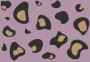 df5f1c307c48bb2da1ada6d3d0f10183