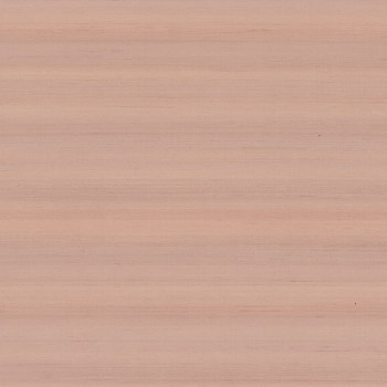 74172355.jpg